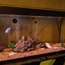 fish tank Image 2