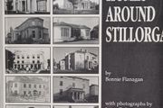 Stately Homes Around Stillorgan