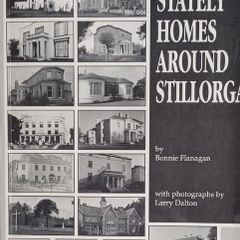 Stately Homes Around Stillorgan