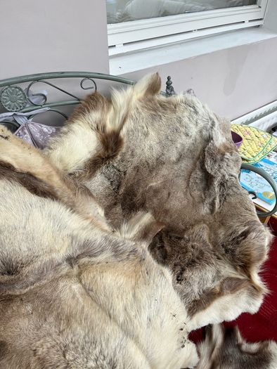 deer skin