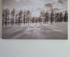 Forest painting gray