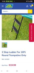 trampoline 2 step ladder