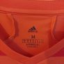 sc internacional jersey Image 3