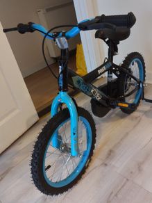 Kids Pedal Pals Street Rider Bike with Stabilizers + Pump