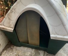 Outdoor Dog kennel
