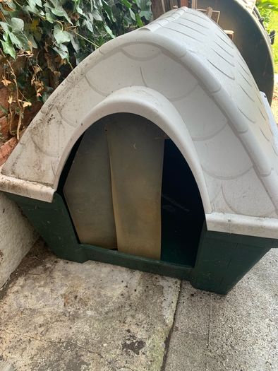Outdoor Dog kennel