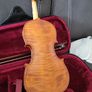 Violin 1/2 Image 4