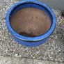 Two large Flower pots Image 8