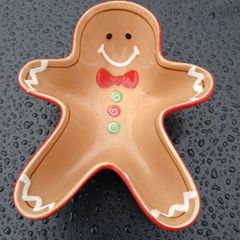 New Gingerbread Man Dish