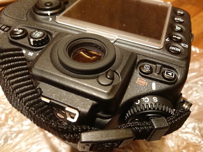 Nikon D800 (body only)
