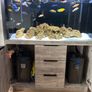 fish tank 300L malawi fish full set Image 5