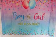Gender Reveal Party Banner