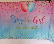 Gender Reveal Party Banner