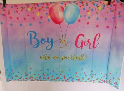 Gender Reveal Party Banner