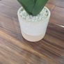 Artificial Aloe Vera Plant Image 2