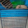hamster cage and accessories Image 2
