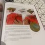 The Textile Artist: Layered Cloth: The Art of Fabric Manipulation Image 7