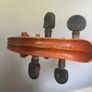 Violin Image 5