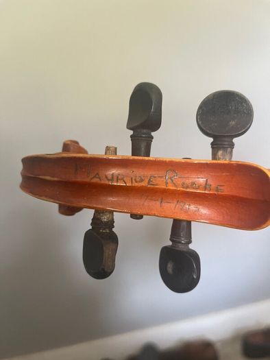 Violin