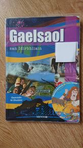 Gaelsaol san Idirbhliain