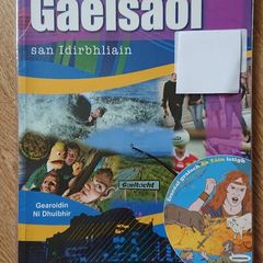 Gaelsaol san Idirbhliain