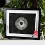1 Amanita Muscaria the Fly Agaric Mushroom Spore Print Stylish Wall Decor Curiosity Image 2