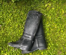 Horse riding bundle