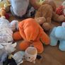 Collection of Teddys Image 4