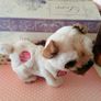 Pets Alive Pug Puppy Image 5