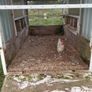 Chicken coop Image 4