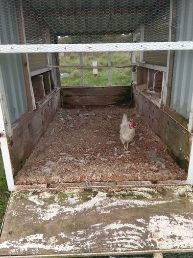 Chicken coop