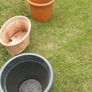 plant pots Image 2