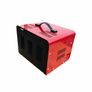 PACINI 50amp Battery Charger Image 4