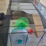 Hamster / Gerbil / Rat Cage --- Read Description! Image 3