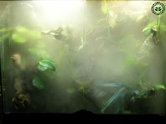 Terrario Premium Fogger v2 fog generator with nozzle