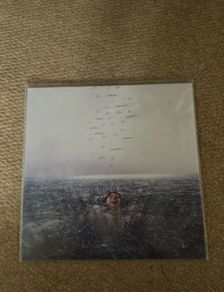Shawn Medes Vinyl