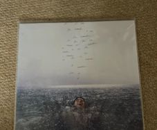 Shawn Medes Vinyl