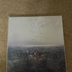 Shawn Medes Vinyl