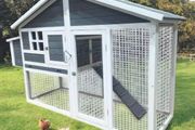 Large Chicken Coop 4-6 Bird