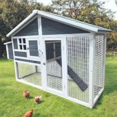 Large Chicken Coop 4-6 Bird