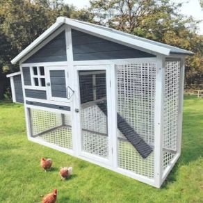 Large Chicken Coop 4-6 Bird