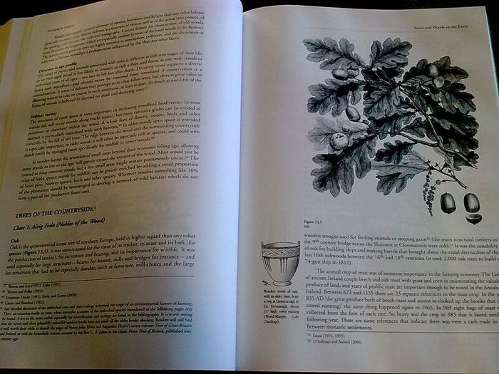 Farming in Ireland History Heritage and Environment by John Feehan Irish history