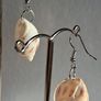 Babylonia Areolata Shells Earrings Image 4