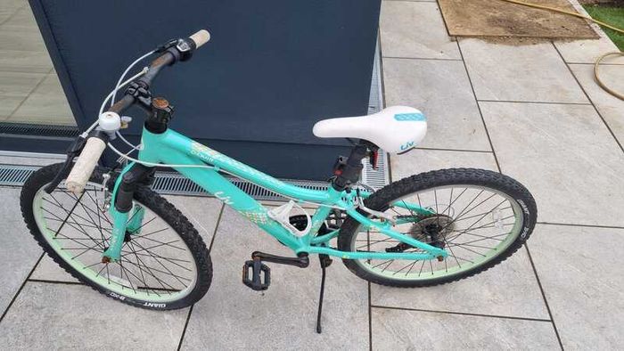 Teenage Girl Liv Enchant Bicycle