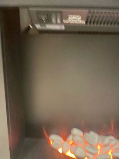 Electric fire