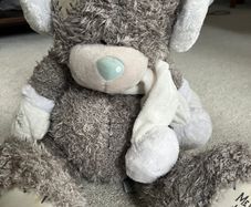 Tatty Teddy