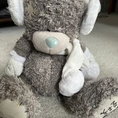 Tatty Teddy