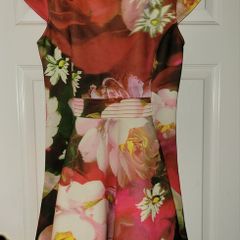 Ted Baker dress