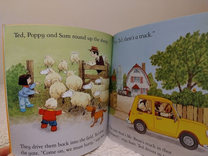 Usborne Early Reader Story Books