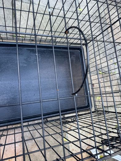 Dog cage/crate